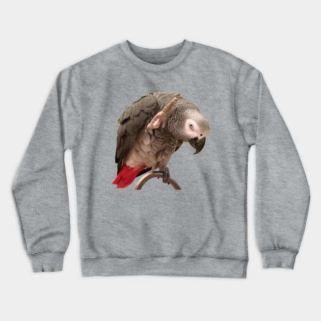 African Grey Parrot Funny Wave Crewneck Sweatshirt by Einstein Parrot